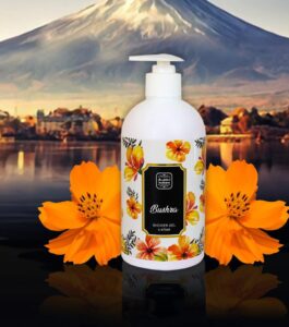 gel de ducha 475ml 10E